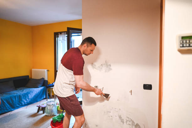 Best DIY Mold Remediation Support Services in Apopka, FL